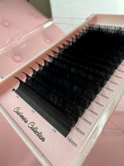 16 Row Signature BabyDoll Lash Collection
